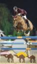 150px-jumperh.jpg