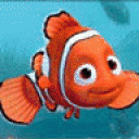 avatarnemo.gif