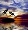 853509_tropical_sunset