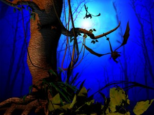 scarywooddreamstime_10152994