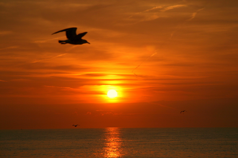 sunflightdreamstime_5913332