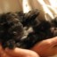 IMG_0203 IMG_0203