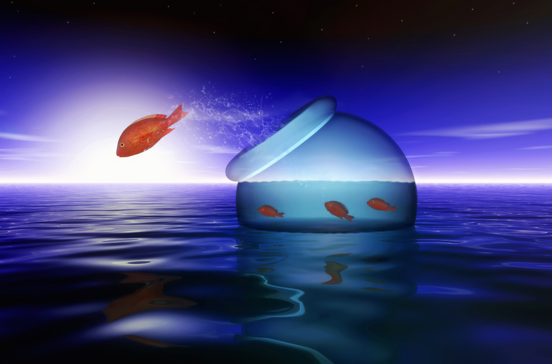 escapedreamstime_13073266